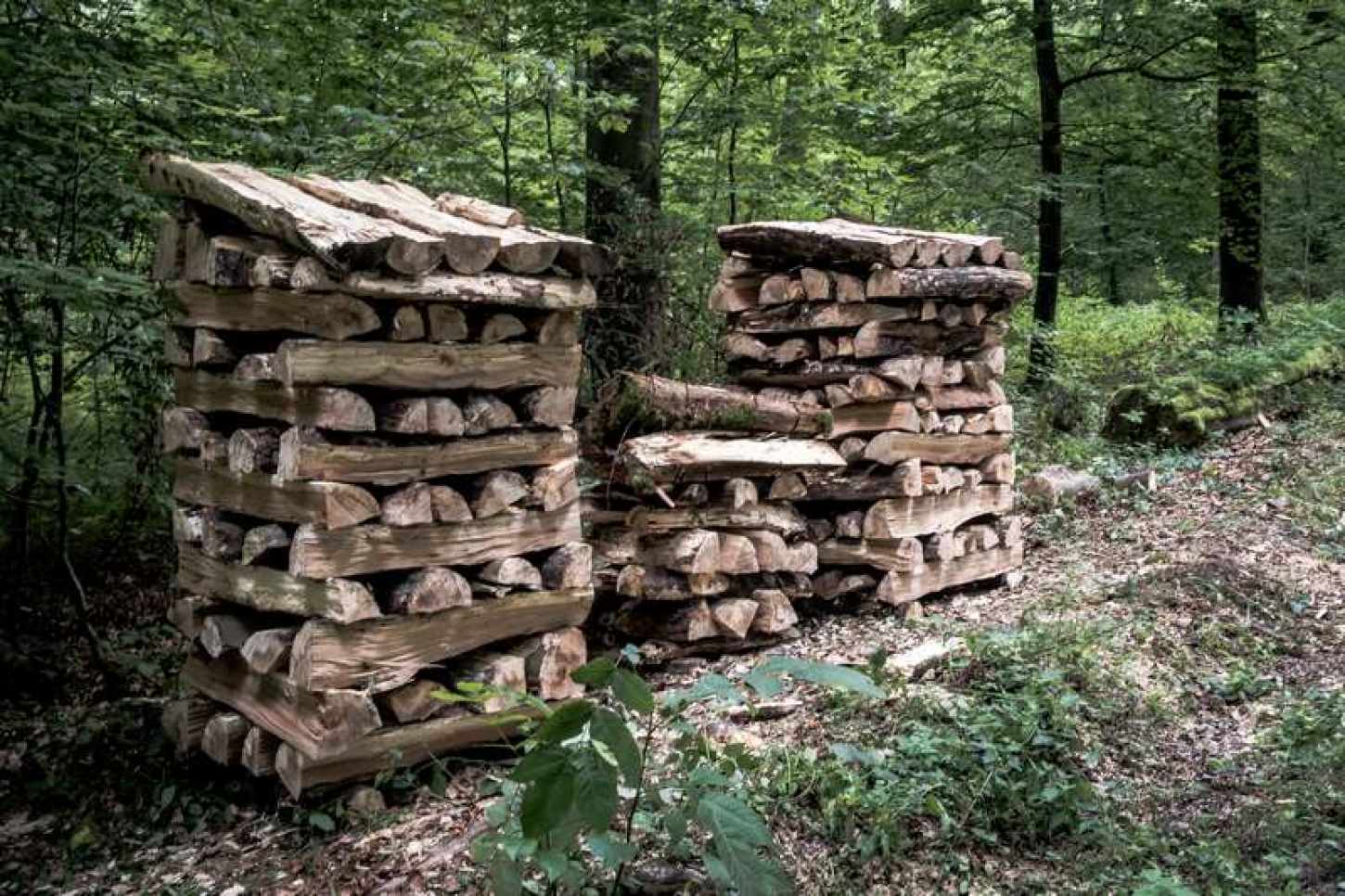 Hout stapelen like a